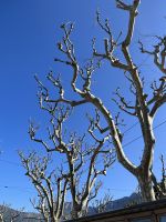 Soller &ndash; &copy; Adrien Wifek (Eberhardt TRAVEL)