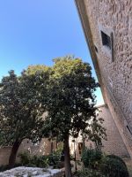 Kloster Lluc &ndash; &copy; Adrien Wifek (Eberhardt TRAVEL)
