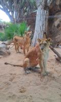 &copy; Petra Hady (Eberhardt TRAVEL)
