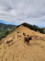 &copy; Petra Hady (Eberhardt TRAVEL)