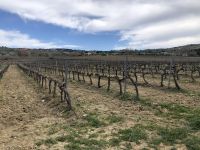 Weinkellerei Ronda  &ndash; &copy; Francisco Javier Burgos Gutierrez (Eberhardt TRAVEL)