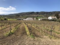 Weinkellerei Ronda  &ndash; &copy; Francisco Javier Burgos Gutierrez (Eberhardt TRAVEL)