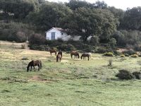 Grazalema  &ndash; &copy; Francisco Javier Burgos Gutierrez (Eberhardt TRAVEL)