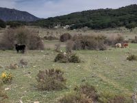 Grazalema  &ndash; &copy; Francisco Javier Burgos Gutierrez (Eberhardt TRAVEL)