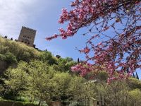 Granada 