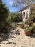 Alpujarra  &ndash; &copy; Francisco Javier Burgos Gutierrez (Eberhardt TRAVEL)