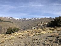 Sierra nevada