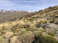 Sierra nevada  &ndash; &copy; Francisco Javier Burgos Gutierrez (Eberhardt TRAVEL)