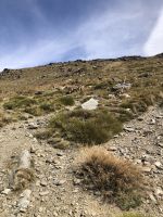 Sierra nevada  &ndash; &copy; Francisco Javier Burgos Gutierrez (Eberhardt TRAVEL)