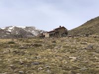 Sierra nevada 