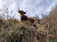 Sierra nevada  &ndash; &copy; Francisco Javier Burgos Gutierrez (Eberhardt TRAVEL)