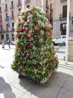 Madrid - Blumen &ndash; &copy; Marieta Beck (Eberhardt TRAVEL)