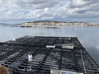 Muschelzucht &ndash; &copy; Sabine C. Seifert (Eberhardt TRAVEL)