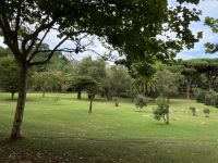 Schloßpark