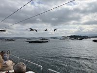 Bootsfahrt O Groove &ndash; &copy; Sabine C. Seifert (Eberhardt TRAVEL)