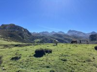 Covadonga &ndash; &copy; Sabine C. Seifert (Eberhardt TRAVEL)