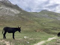 Esel  &ndash; &copy; Sabine C. Seifert (Eberhardt TRAVEL)
