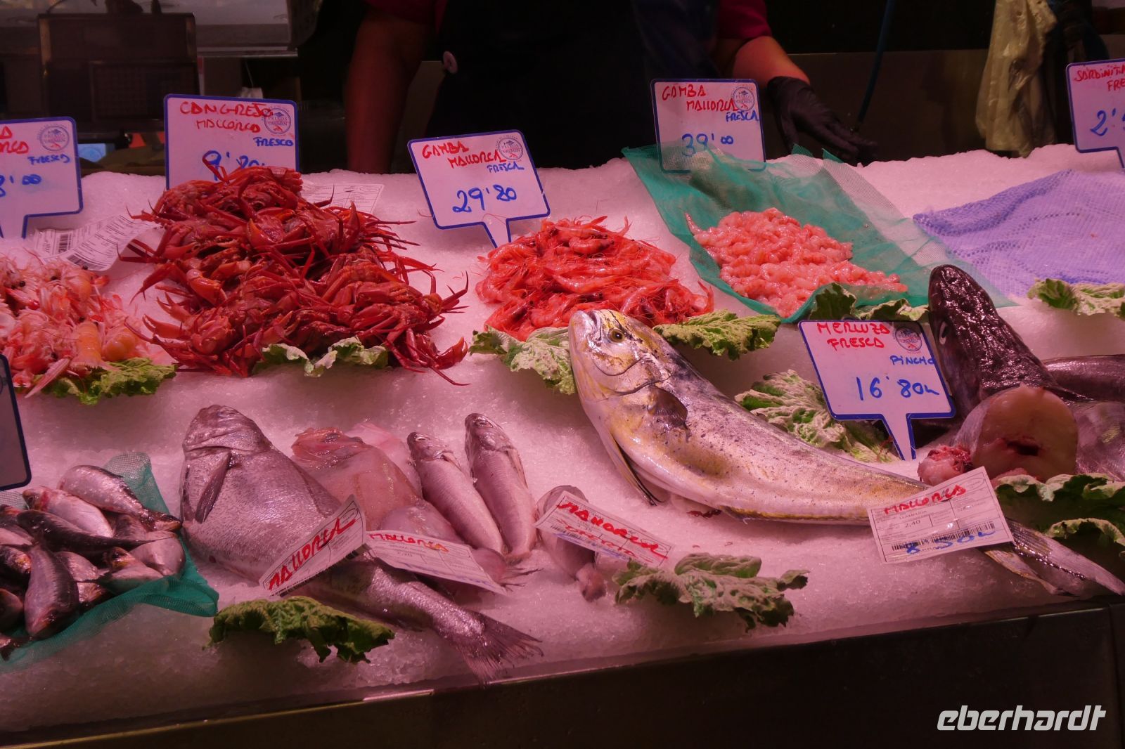 für Fischliebhaber &ndash; &copy; Gina Egenolf (Eberhardt TRAVEL)