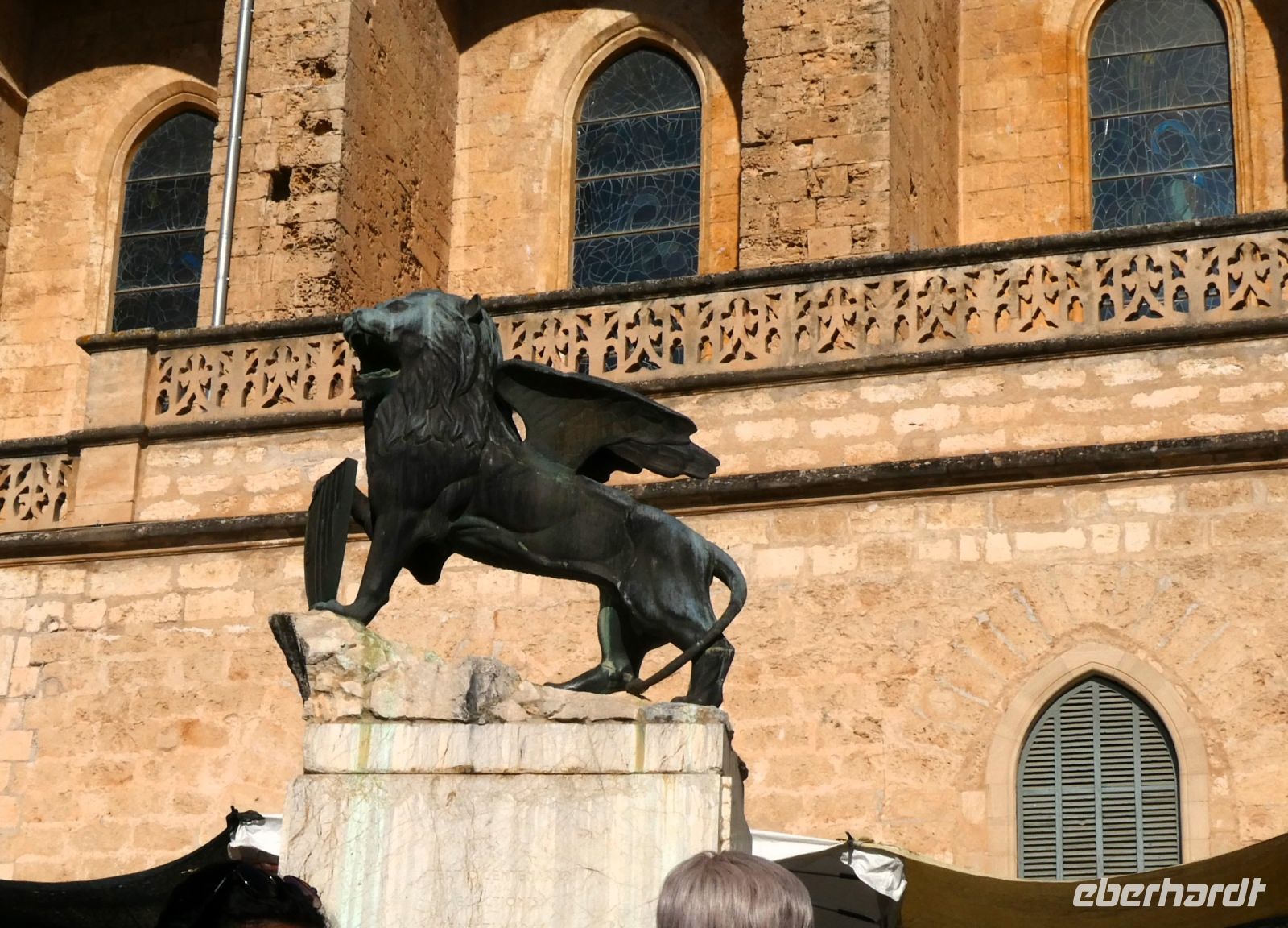 schon wieder ein Löwe &ndash; &copy; Gina Egenolf (Eberhardt TRAVEL)
