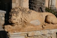 der Löwe wacht  &ndash; &copy; Gina Egenolf (Eberhardt TRAVEL)