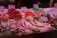 für Fischliebhaber &ndash; &copy; Gina Egenolf (Eberhardt TRAVEL)