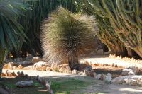 Beauty aus Mexiko &ndash; &copy; Gina Egenolf (Eberhardt TRAVEL)
