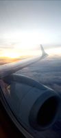Heimflug &ndash; &copy; Heike Meinhold (Eberhardt TRAVEL)