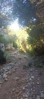 Wanderweg &ndash; &copy; Heike Meinhold (Eberhardt TRAVEL)