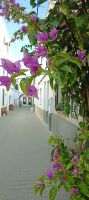 es Migjorn  &ndash; &copy; Heike Meinhold (Eberhardt TRAVEL)