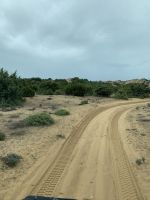 Im Donana -Nationalpark &ndash; &copy; Elke Knappe (Eberhardt TRAVEL)