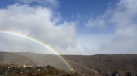 Regenbogen inklusive