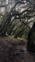 Völlig anderes Klima &ndash; &copy; Manuel Gonzalez Urrutia (Eberhardt TRAVEL)