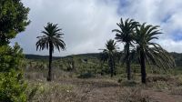 Plötzlich &ndash; &copy; Manuel Gonzalez Urrutia (Eberhardt TRAVEL)