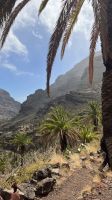 Hier kommt der Palmlikör her &ndash; &copy; Manuel Gonzalez Urrutia (Eberhardt TRAVEL)