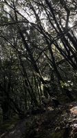 Natur &ndash; &copy; Manuel Gonzalez Urrutia (Eberhardt TRAVEL)