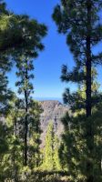 Wir setzen den Weg fort &ndash; &copy; Manuel Gonzalez Urrutia (Eberhardt TRAVEL)
