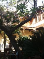 Innenhof &ndash; &copy; Ulrike Blenke (Eberhardt TRAVEL)