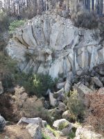 Steinrose &ndash; &copy; Ulrike Blenke (Eberhardt TRAVEL)