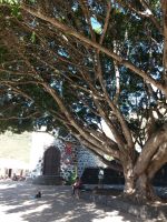 Masca &ndash; &copy; Ulrike Blenke (Eberhardt TRAVEL)