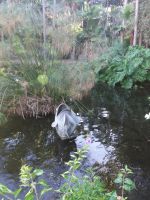 Loro Park &ndash; &copy; Ulrike Blenke (Eberhardt TRAVEL)
