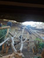 Schimpansen &ndash; &copy; Ulrike Blenke (Eberhardt TRAVEL)