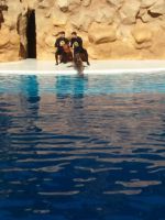 Delphin &ndash; &copy; Ulrike Blenke (Eberhardt TRAVEL)