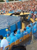Orca &ndash; &copy; Ulrike Blenke (Eberhardt TRAVEL)