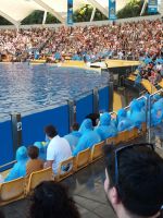Orcashow &ndash; &copy; Ulrike Blenke (Eberhardt TRAVEL)