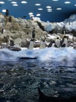 20240103 131804 &ndash; &copy; Ulrike Blenke (Eberhardt TRAVEL)