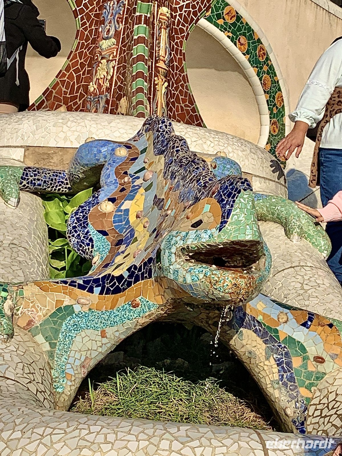 Eidechse_Gaudi_IMG_4859.jpg &ndash; &copy; Birgit Kirchner (Eberhardt TRAVEL)