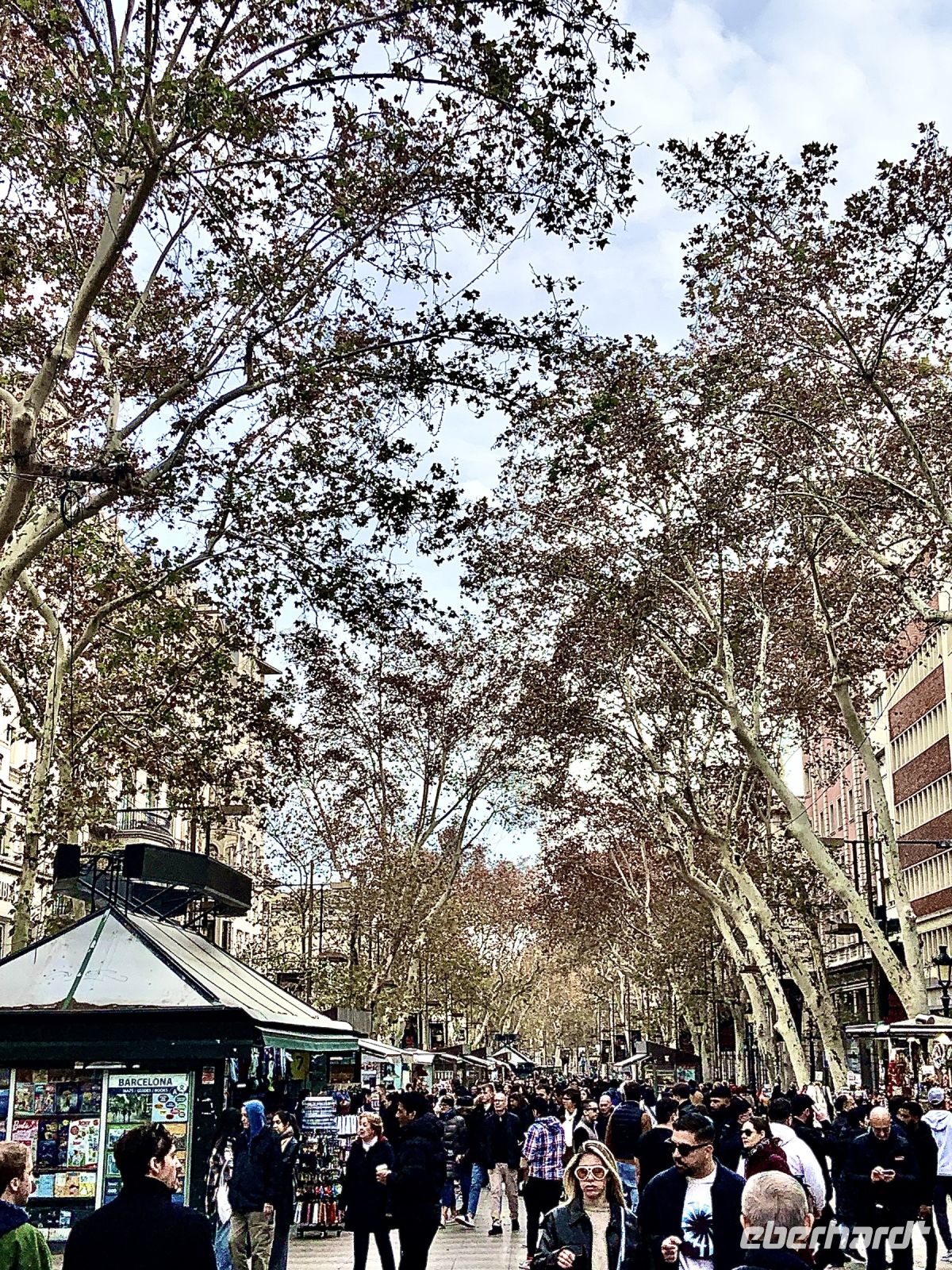 Las Ramblas_IMG 5062 &ndash; &copy; Birgit Kirchner (Eberhardt TRAVEL)