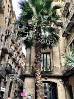 In der Altstadt_ IMG 4966 &ndash; &copy; Birgit Kirchner (Eberhardt TRAVEL)
