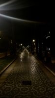 Allee 