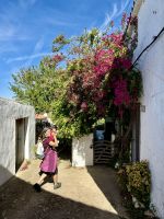 In Es Migjorn Gran &ndash; &copy; Anne Schröder (Eberhardt TRAVEL)